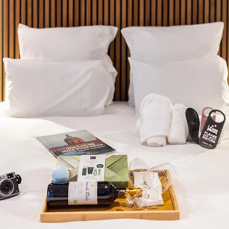 Otel Ovyo Toulouse