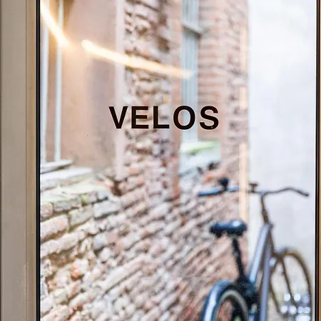 Ovyo Toulouse