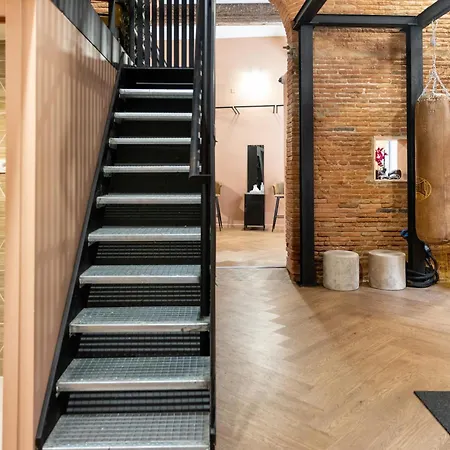 Ovyo Toulouse